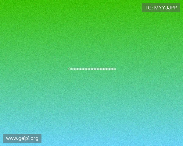 KY体育登录助力用户畅享世界杯精彩赛事全方位报道与实时直播分析